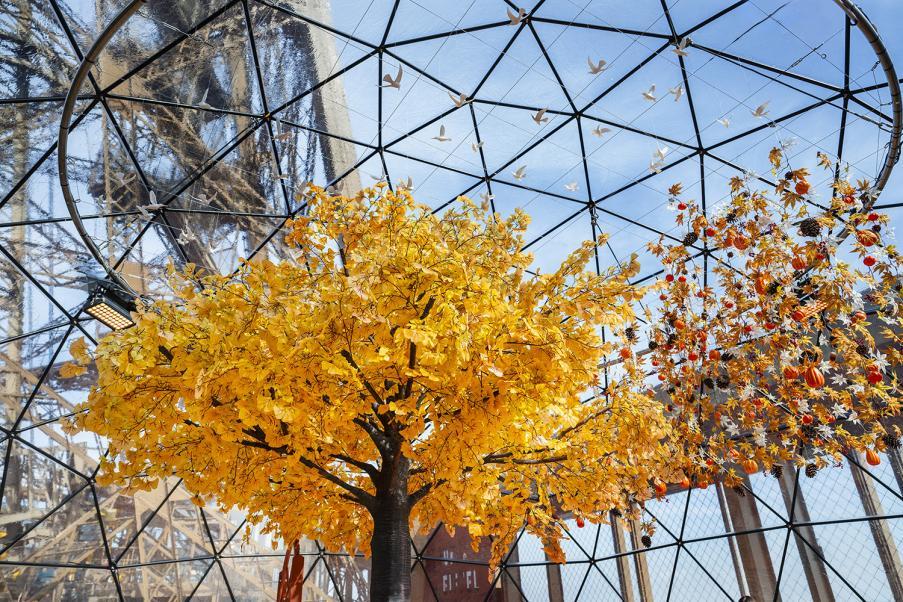 Foto de la terraza en otoño de 2025