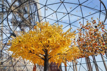 Foto de la terraza en otoño de 2025