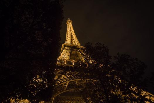 Jardins de nuit