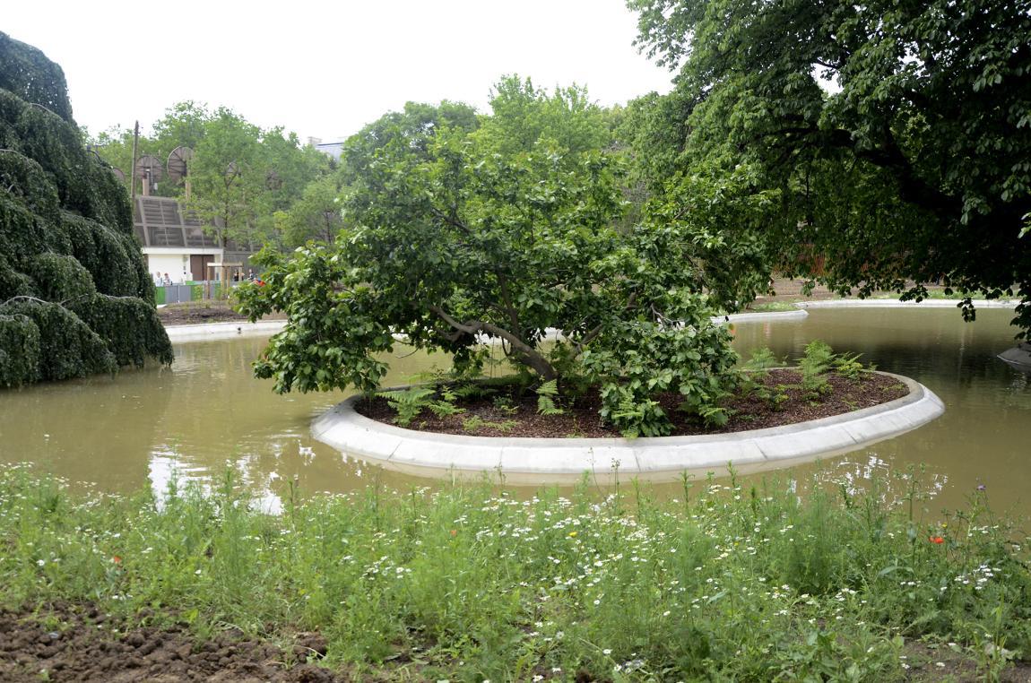 Photo jardin et bassin