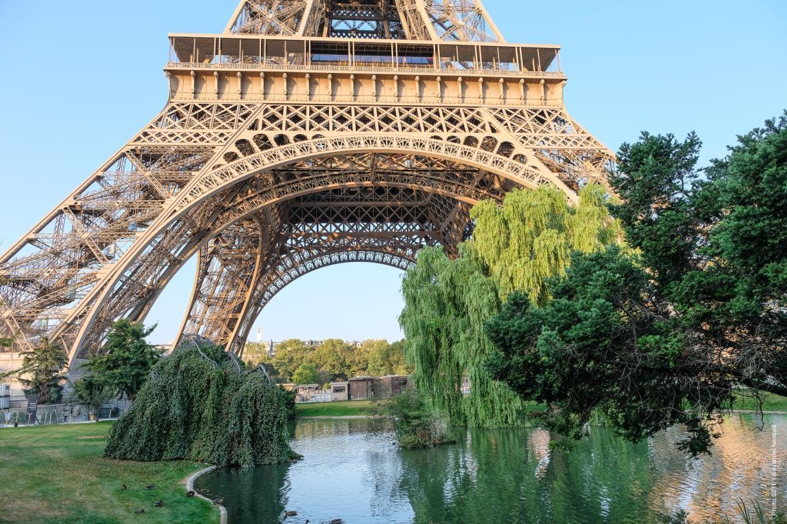 Foto Los jardines de la Torre Eiffel