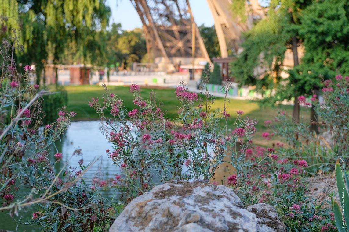 Foto Los jardines de la Torre Eiffel