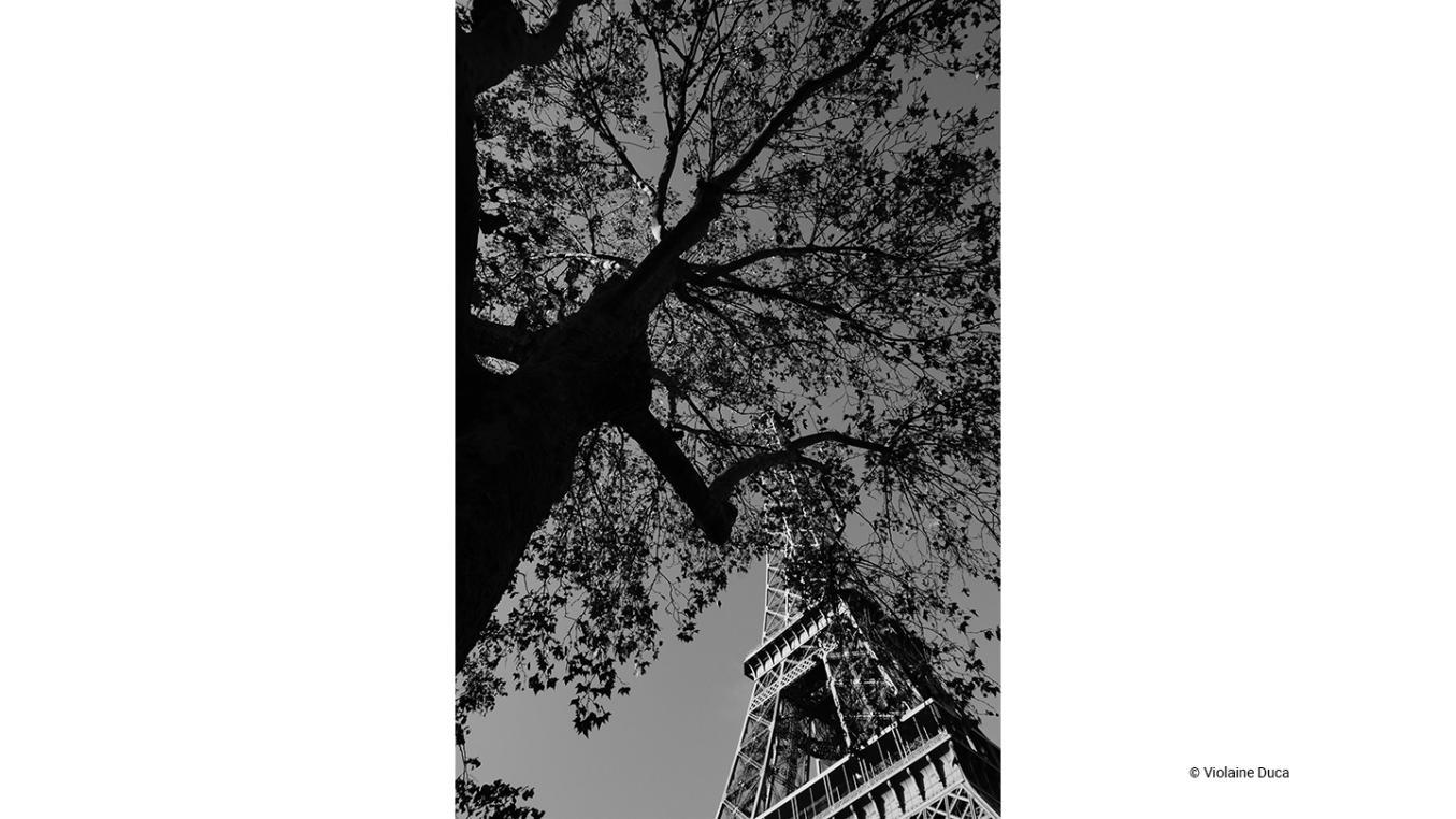 Concours photo, gagnant 9