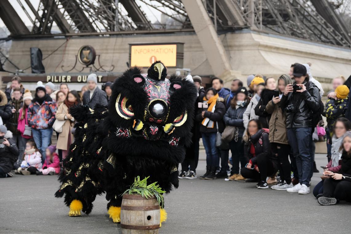 Photo de l'Association Française de Danse du Dragon et du Lion Chinois 
