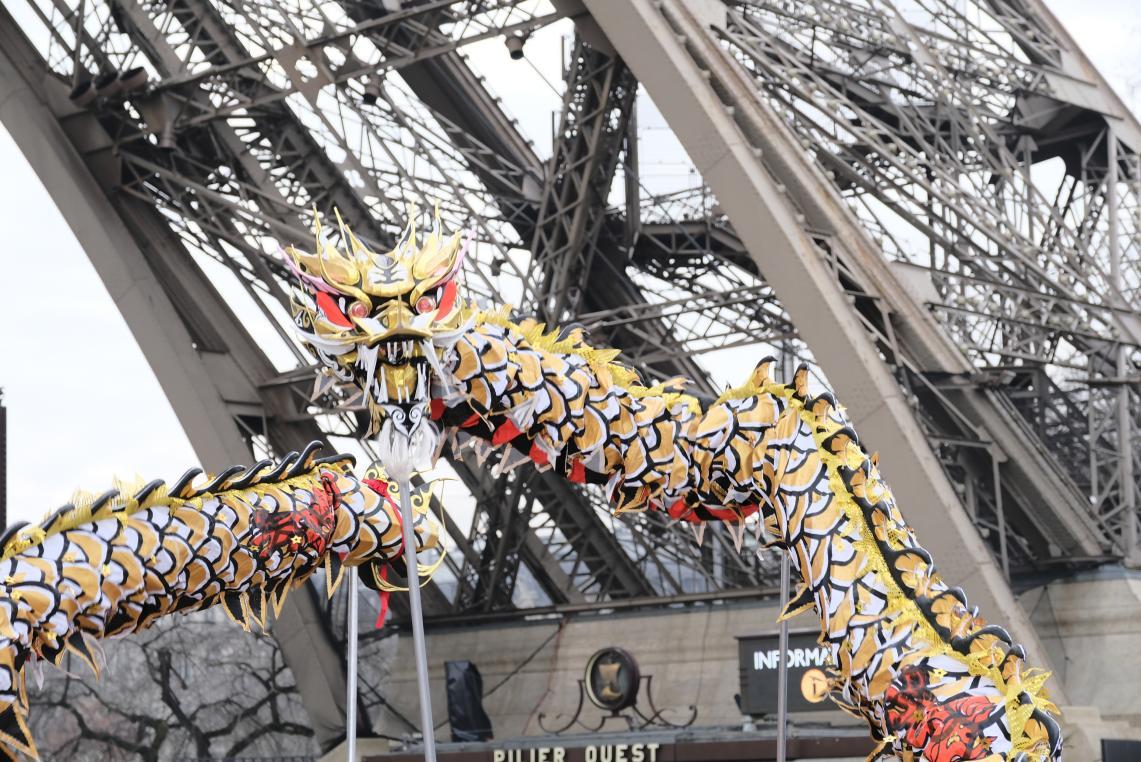 Photo de l'Association Française de Danse du Dragon et du Lion Chinois 