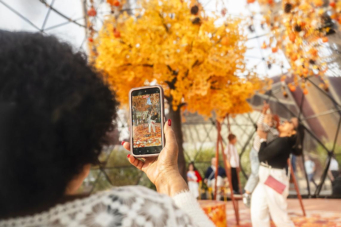 Foto de la terraza en otoño de 2025