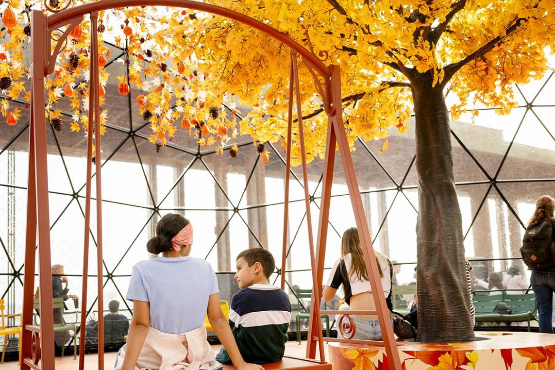 Foto de la terraza en otoño de 2025