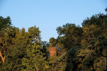 Chimenea 